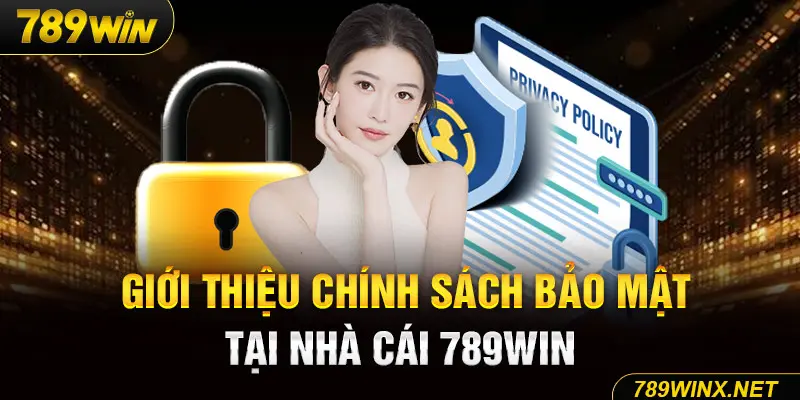 Giới thiệu chính sách bảo mật tại nhà cái 789Win